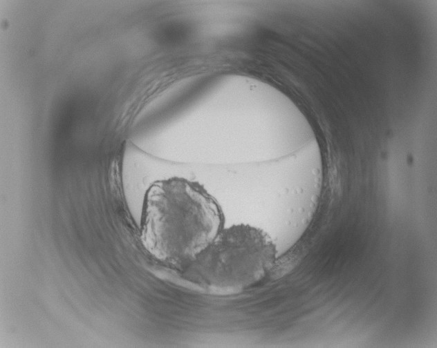 X0000051910169200507152040