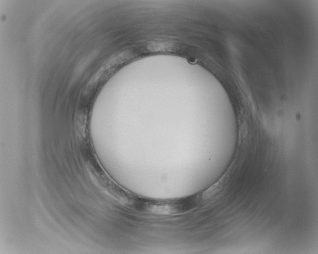 X0000051910171200507152040