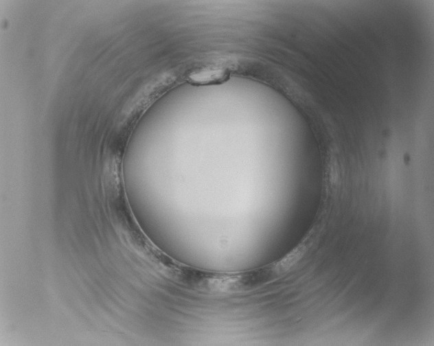 X0000051910172200507152040