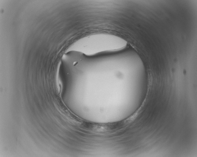 X0000051910174200507152040