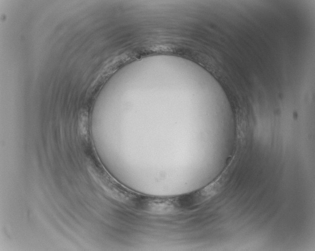 X0000051910175200507152040