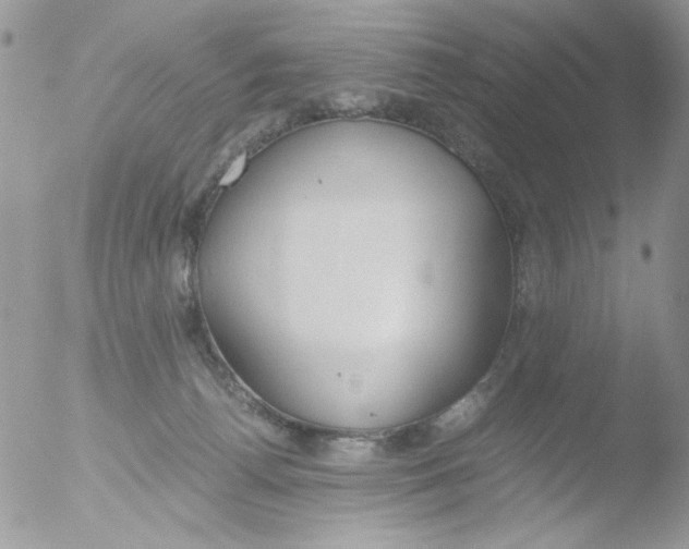 X0000051910176200507152040