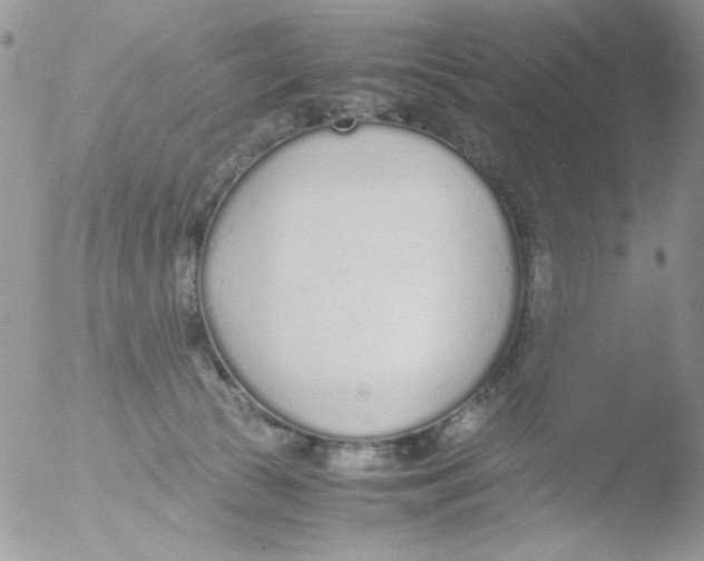 X0000051910177200507152040