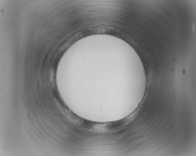 X0000051910178200507152040