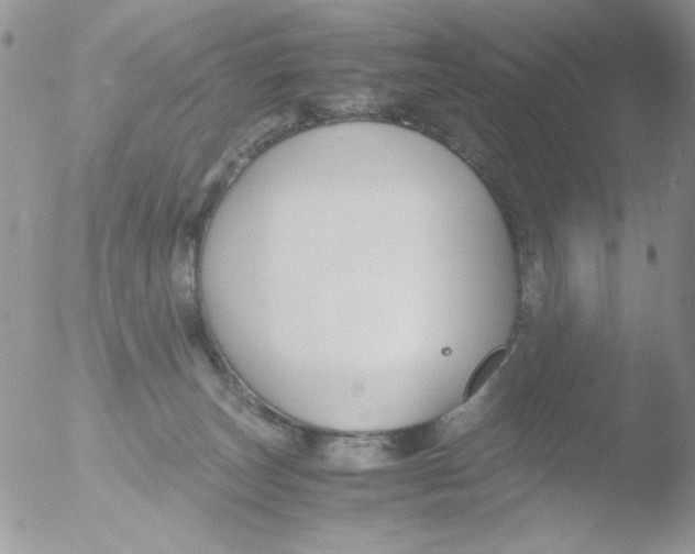 X0000051910179200507152040