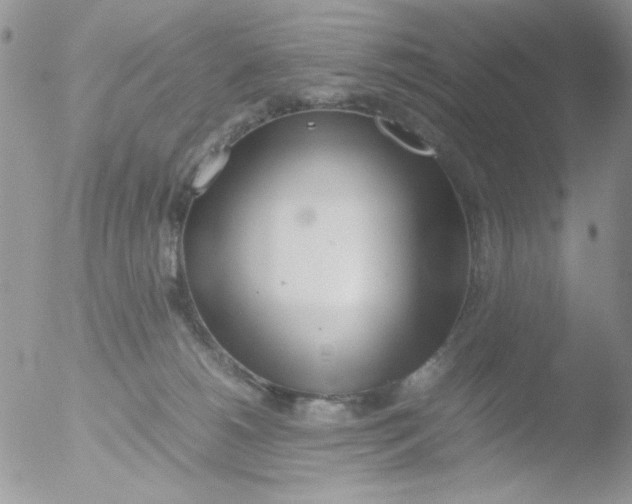 X0000051910180200507152040