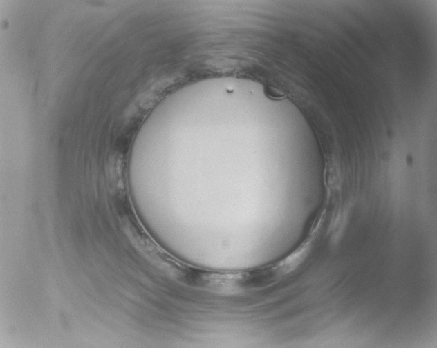 X0000051910182200507152040