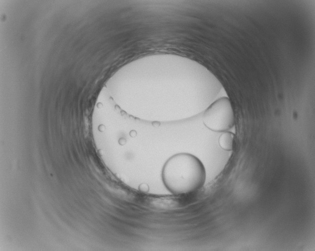 X0000051910183200507152040