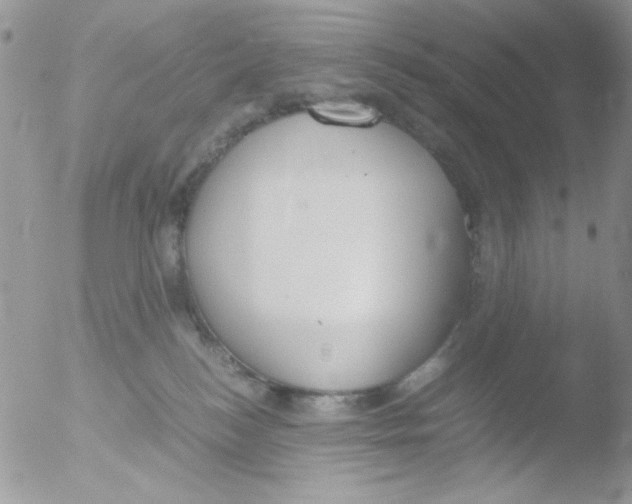 X0000051910184200507152040