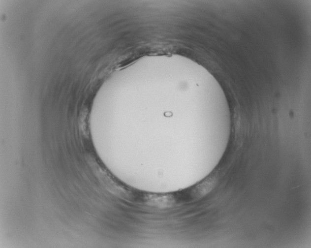 X0000051910185200507152040