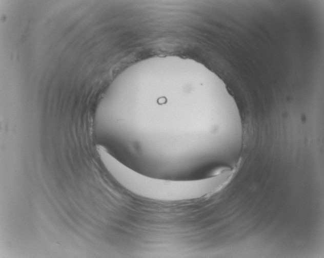 X0000051910186200507152040