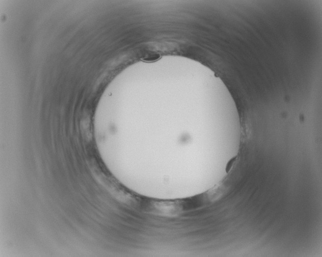 X0000051910187200507152040