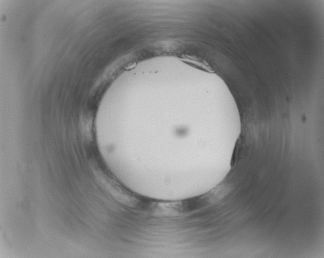 X0000051910188200507152040