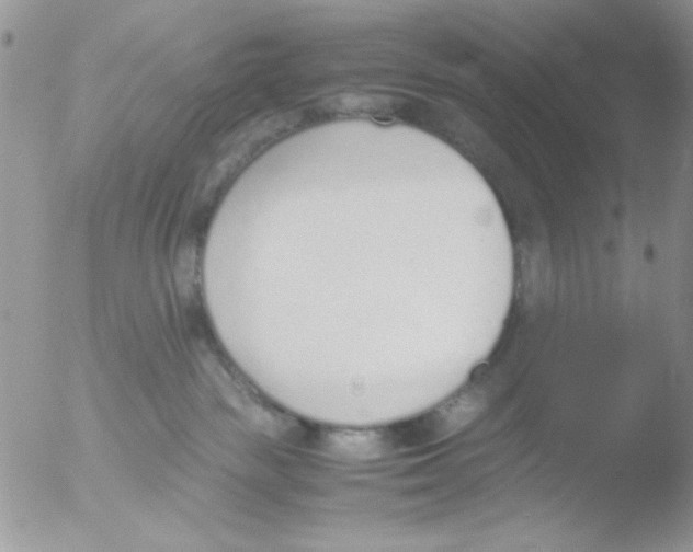 X0000051910189200507152040