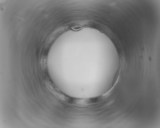 X0000051910191200507152040