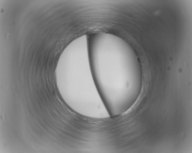 X0000051910192200507152040