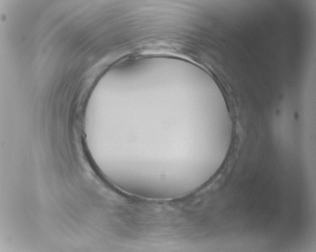 X0000051910193200507152040