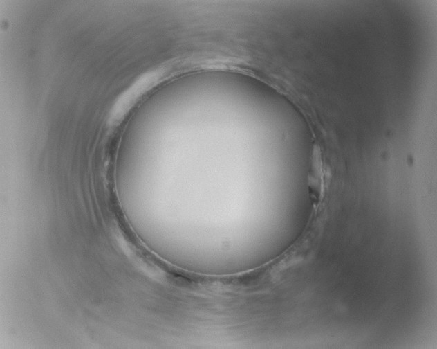 X0000051910197200507152040