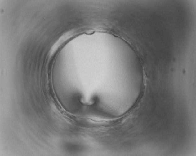 X0000051910198200507152040