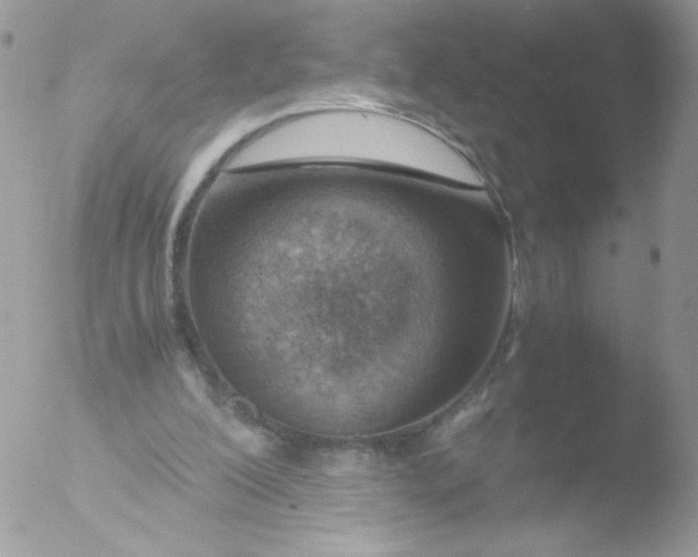 X0000051910200200507152040