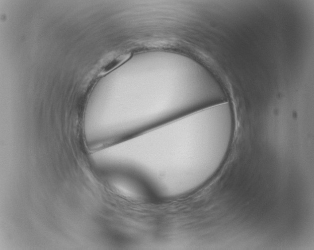 X0000051910201200507152040