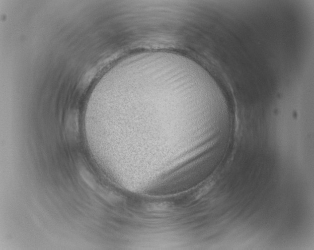 X0000051910202200507152039