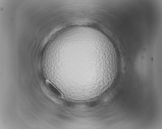 X0000051910203200507152039