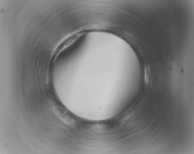 X0000051910204200507152039