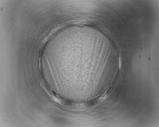 X0000051910205200507152039