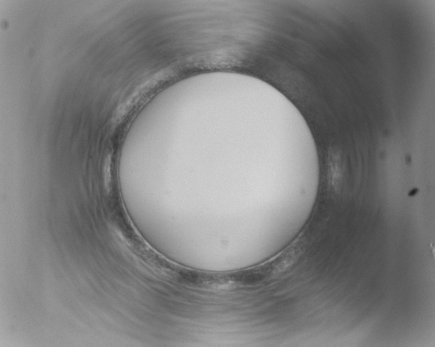 X0000051910206200507152039