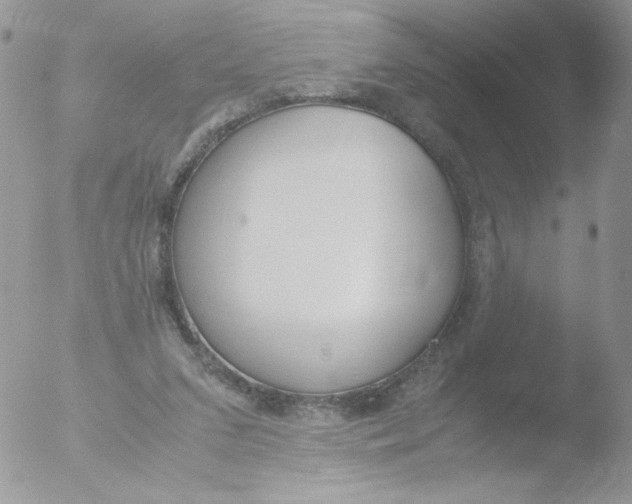 X0000051910207200507152039