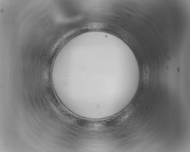 X0000051910208200507152039