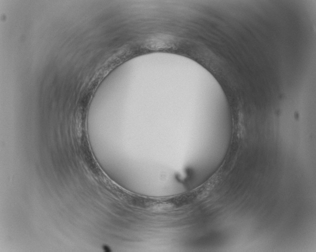 X0000051910210200507152039