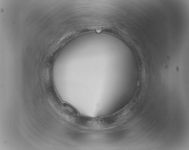 X0000051910211200507152039