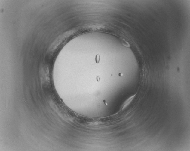 X0000051910212200507152039