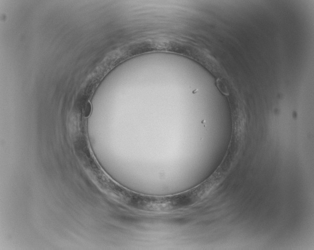 X0000051910213200507152039