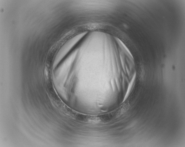 X0000051910214200507152039