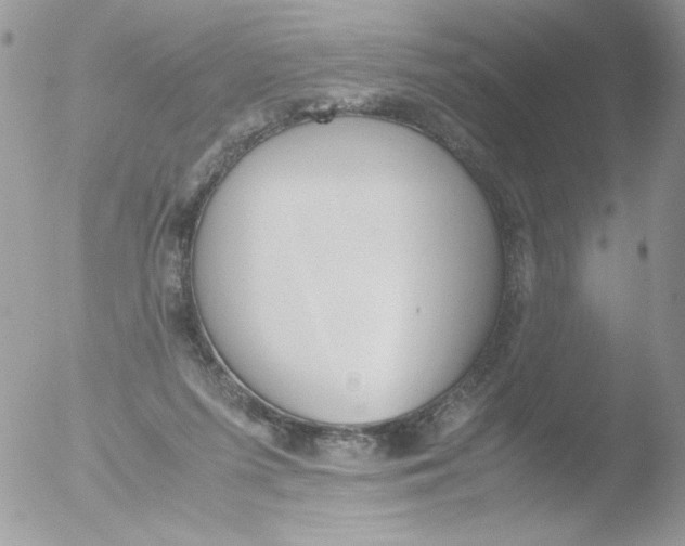 X0000051910215200507152039