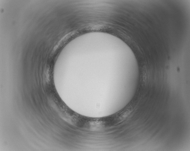 X0000051910216200507152039