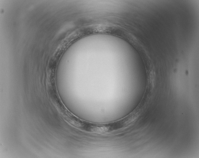 X0000051910217200507152039