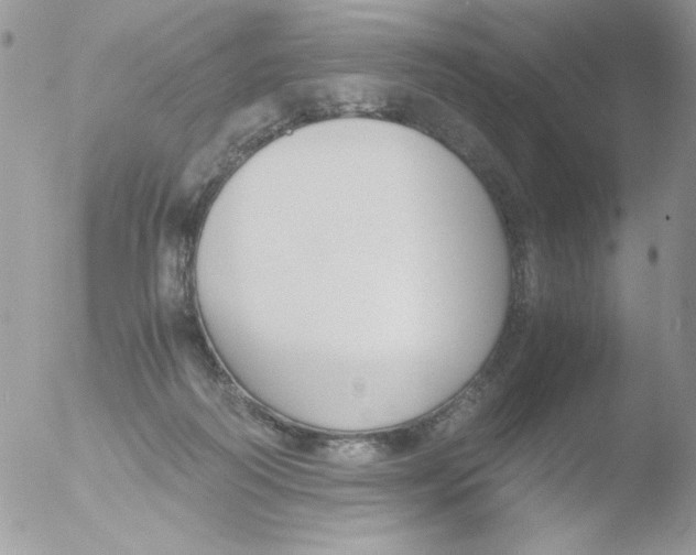 X0000051910218200507152039