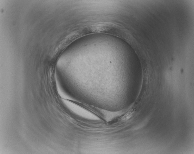 X0000051910219200507152039