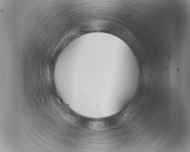 X0000051910220200507152039