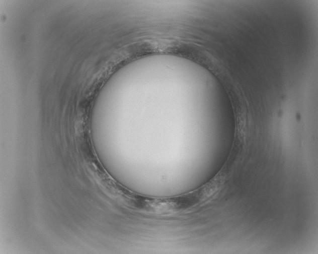 X0000051910221200507152039