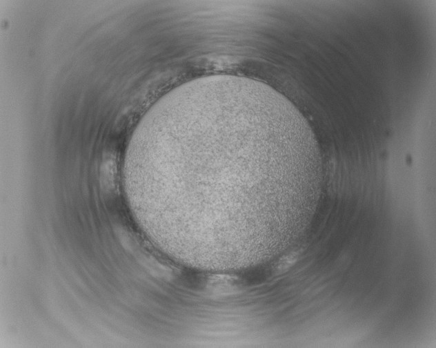 X0000051910222200507152039