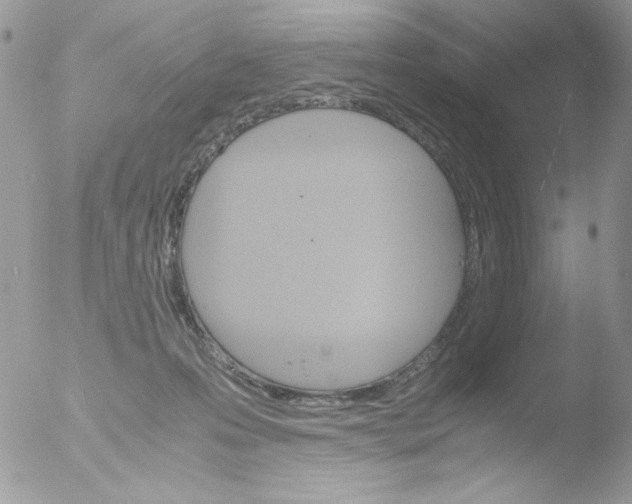 X0000051910223200507152039