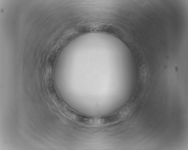 X0000051910225200507152039