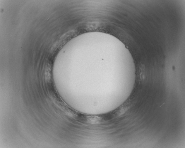 X0000051910226200507152039