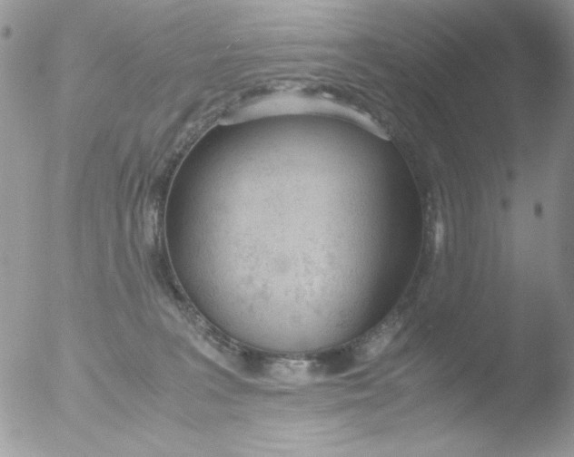 X0000051910227200507152039