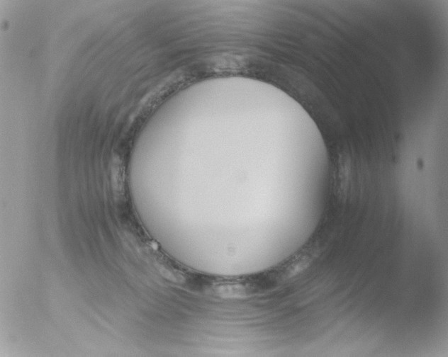 X0000051910228200507152039